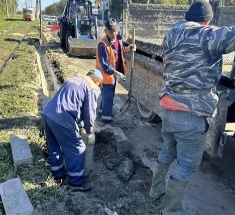 В центре Ульяновска за лето обновили почти 80 садовых диванов В центре Ульяновска за лето обновили почти 80 садовых диванов