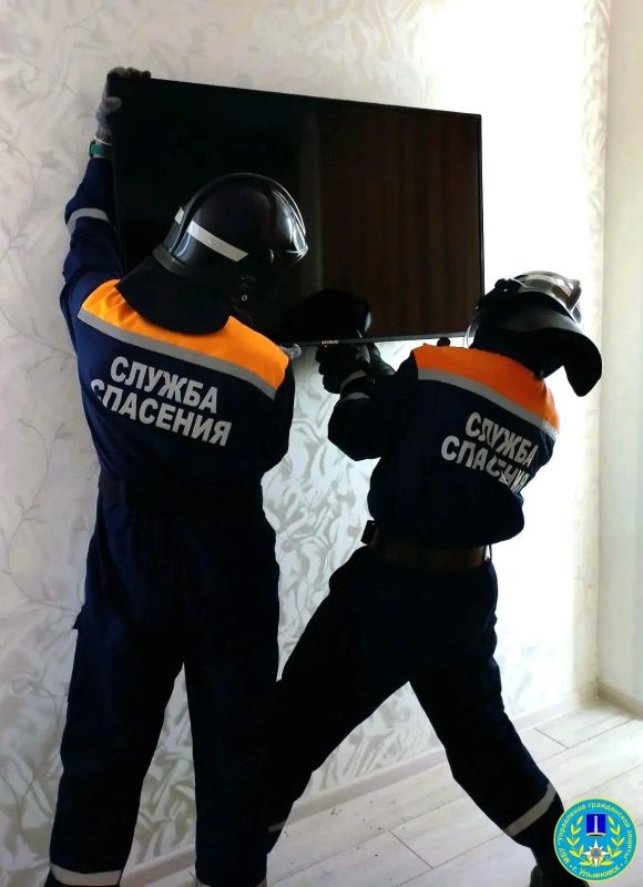Спасатели нашли летучую мышь под телевизором в квартире на Невского