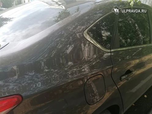 В регионе за сутки 33 водителя оштрафовали за нарушение правил тонировки