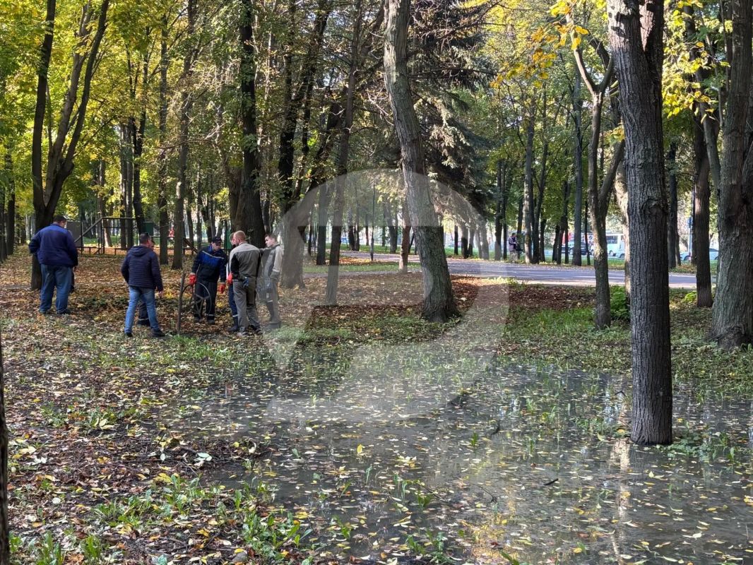 Вновь разлив канализации на Западном бульваре Вновь разлив канализации на Западном бульваре