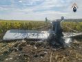 Задел деревья и рухнул на землю: В Ульяновской области пилот пострадал при совершении жесткой посадки легкомоторного самолета