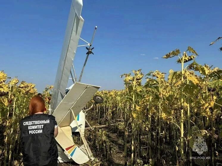 Следком проводит проверку по факту крушения легкомоторного самолета в Майнском районе Следком проводит проверку по факту крушения легкомоторного самолета в Майнском районе