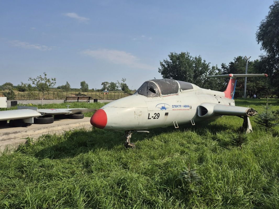 Завтра в парке «Механика» установят реактивный самолет L-29 «Дельфин»