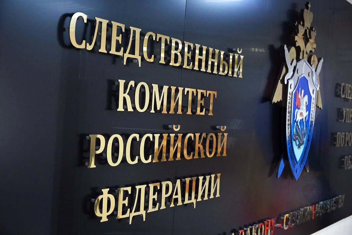 Глава СКР затребовал доклад об исчезновении девочки в секте в Ульяновской области