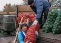 За щедрым урожаем. Когда и где в Ульяновске пройдут ярмарки