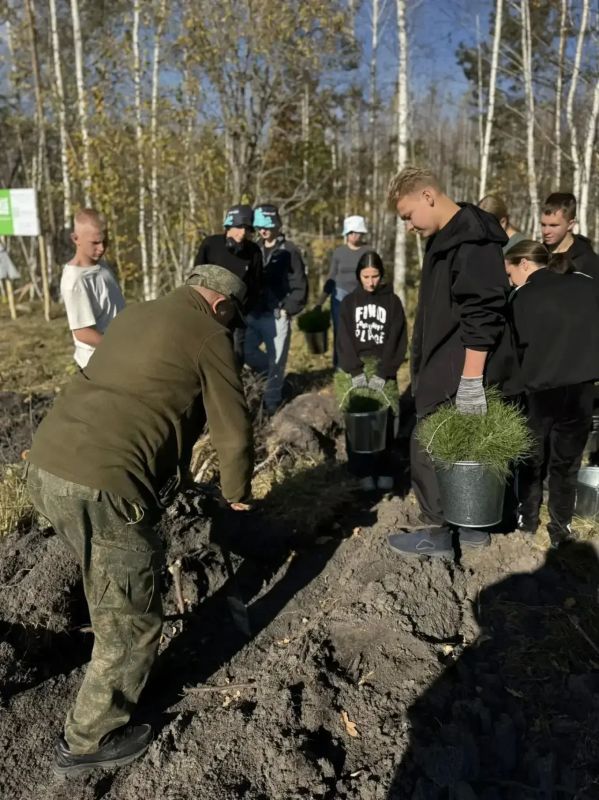 Воспитанники детского дома «Орбита» приняли участие в акции «Сохраним лес» в Майнском районе Воспитанники детского дома «Орбита» приняли участие в акции «Сохраним лес» в Майнском районе