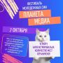 Ульяновск, готовься! Скоро «Планета медиа»!