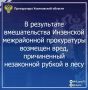 ��������� ����������� ����������� ����������� ������� ������� �������� ���������� ���������������� � ����� ���������������