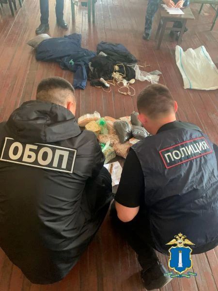 В Ульяновске осуждены организатор и участники экстремистской организации В Ульяновске осуждены организатор и участники экстремистской организации