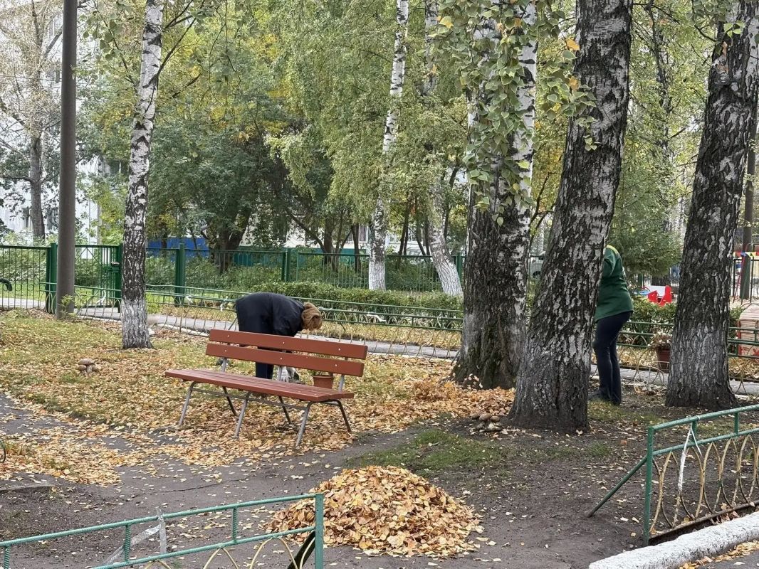 По поручению главы города Александра Болдакина в образовательных организациях города продолжается месячник по благоустройству По поручению главы города Александра Болдакина в образовательных организациях города продолжается месячник по благоустройству