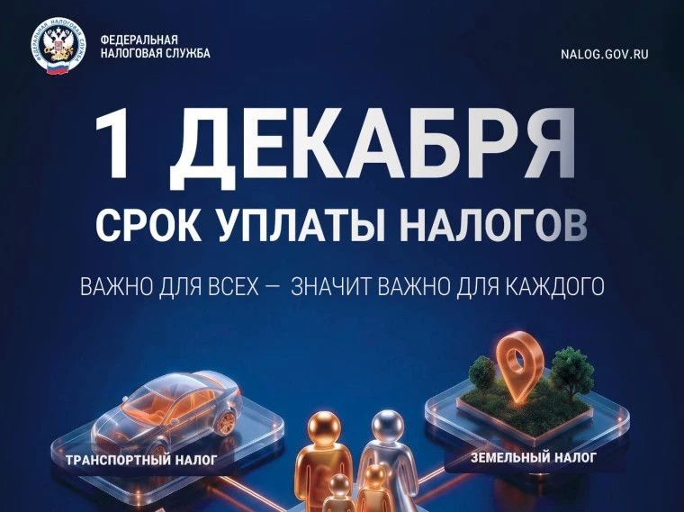 Ульяновцам напоминают о необходимости уплаты налогов до 1 декабря