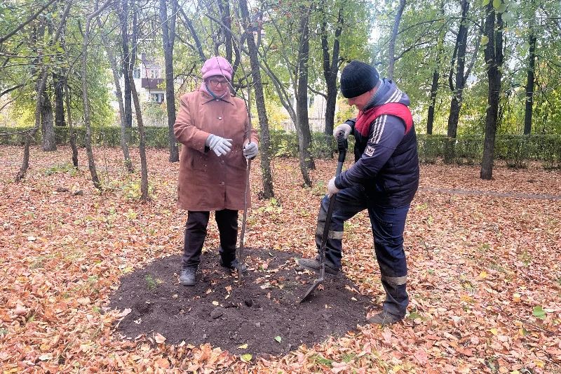В Ульяновске стартовала осенняя посадка деревьев