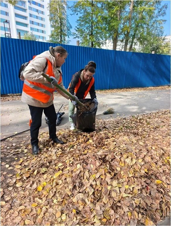 За два осенних месяца в Железнодорожном районе вывезли больше 1600 кубометров отходов и мусора За два осенних месяца в Железнодорожном районе вывезли больше 1600 кубометров отходов и мусора