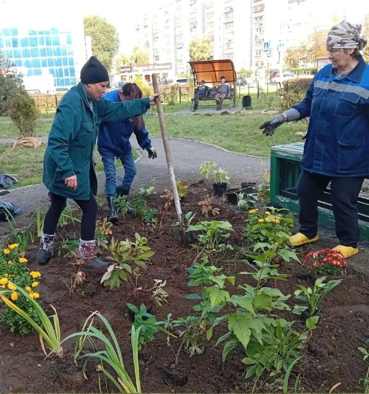 На проспекте Филатова высадили флоксы, ирисы, хризантемы, хосты и пионы На проспекте Филатова высадили флоксы, ирисы, хризантемы, хосты и пионы