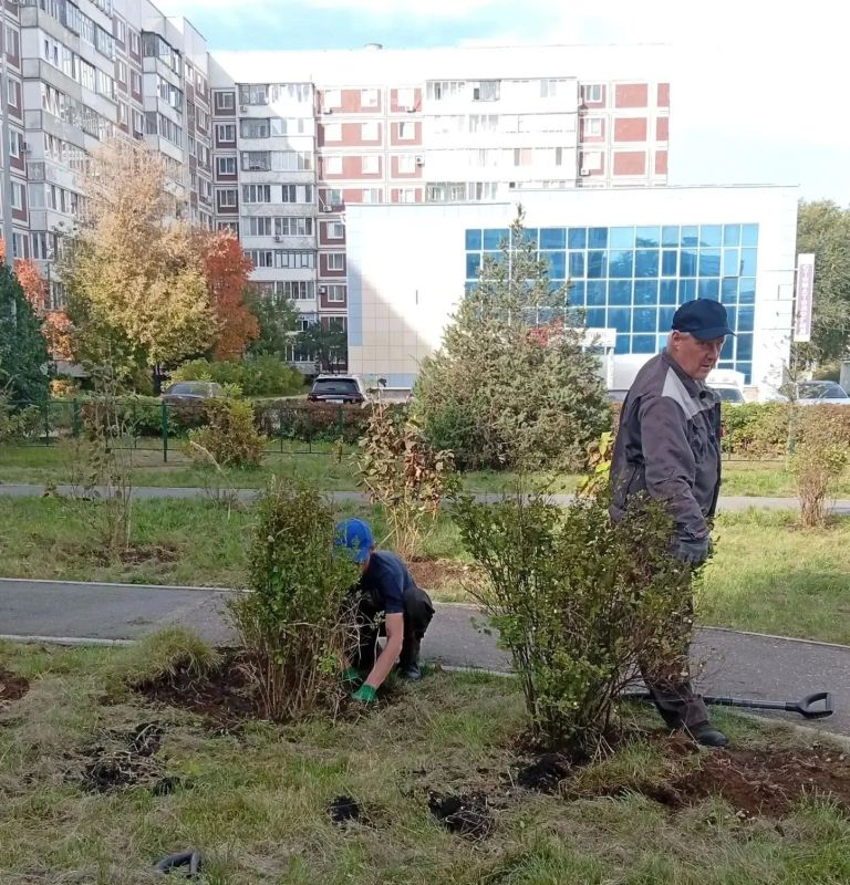 На проспекте Филатова высадили флоксы, ирисы, хризантемы, хосты и пионы