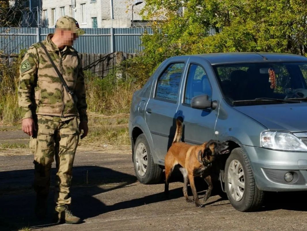 Кинолог ОМОН «Симбир» и его служебная собака Кира стали лучшими в дисциплине «Поиск и обнаружение взрывчатых веществ».