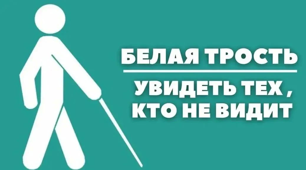 С 15 октября по 13 ноября в Ульяновской области проходит Месячник «Белая трость»