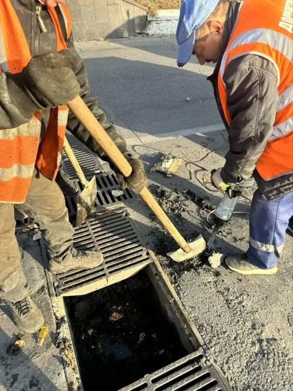 В Ульяновске продолжается сезонная уборка опавшей листвы В Ульяновске продолжается сезонная уборка опавшей листвы