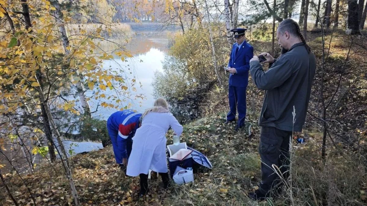 Прокуратура г. Димитровграда проводит проверку по размещенной в одном из телеграм-каналов информации о нарушении законодательства в сфере природопользования