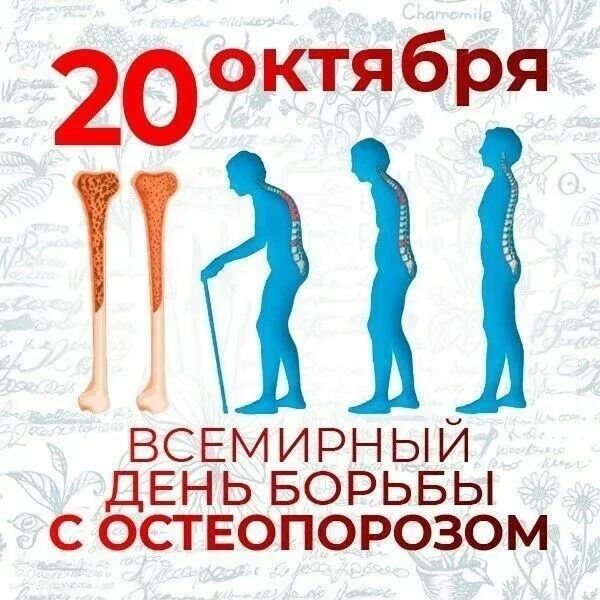 20 октября отмечается Всемирный день борьбы с остеопорозом