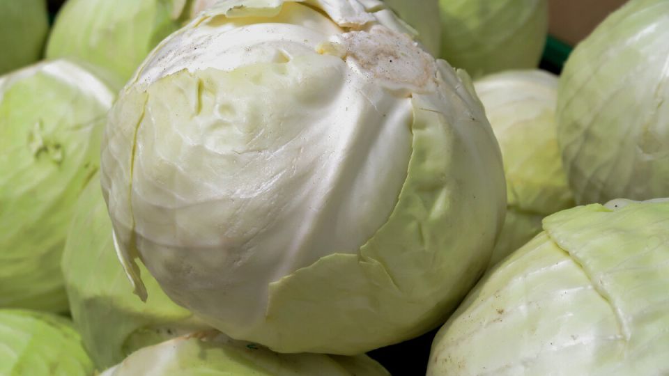 ����������� �������: ������ ����� ��� �������� � ��������