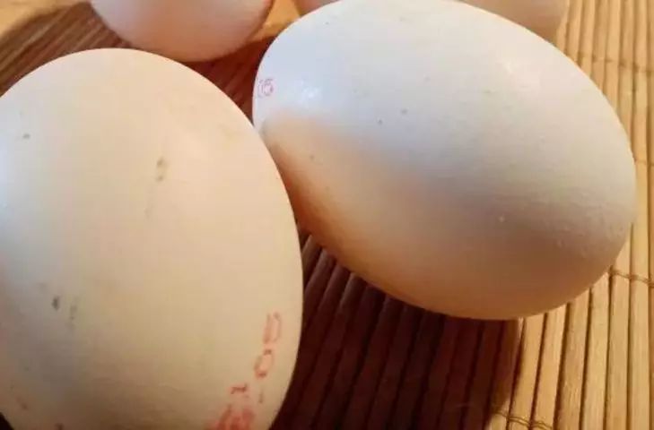 Жир тает, как сало на сковородке: ешьте эти 5 продуктов, и вес пойдет вниз без уговоров и мучений