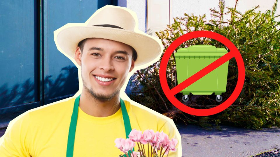 Не выбрасывайте елку после Нового года: она пригодится на даче