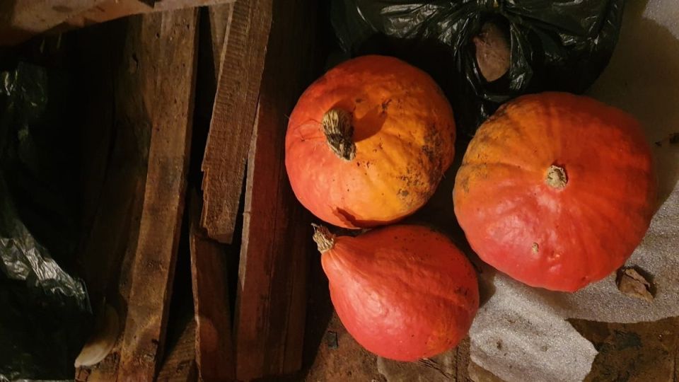 Удивительное хранение тыквы: как метод трех температур спасает урожай и улучшает вкус