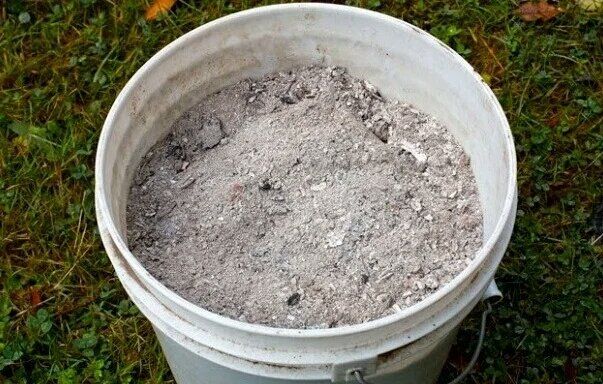 Топ-3 ошибки при внесении золы: как не навредить растениям и почве