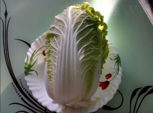 ��������� �������: ������� ��������� ����������� �� �������� ������