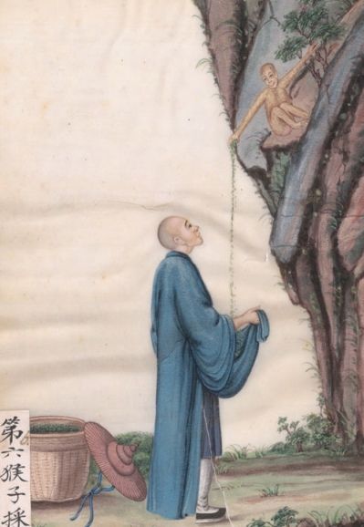 ��� ����������� ���� �������� ��������� ��������: ���������� ������� �� ������