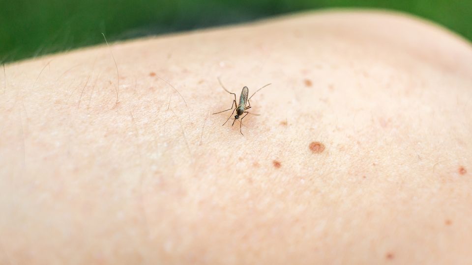 ��������� ����� ��� ������ �� �����������: ��� ��� ���������� �� ����