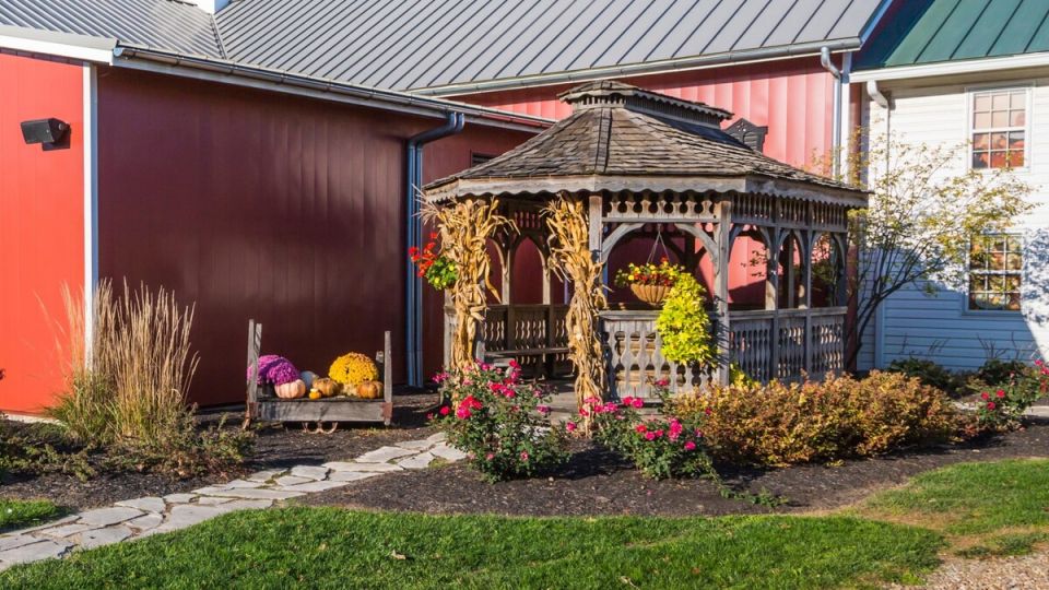 �� ����� ���� ����������: �������� ��� ��������� ��� ������� ����