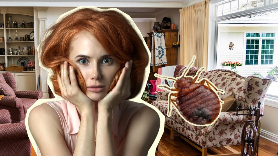 ����� ���������� ������ �� � ������ ��������: ��� ����� ���� �� ����������