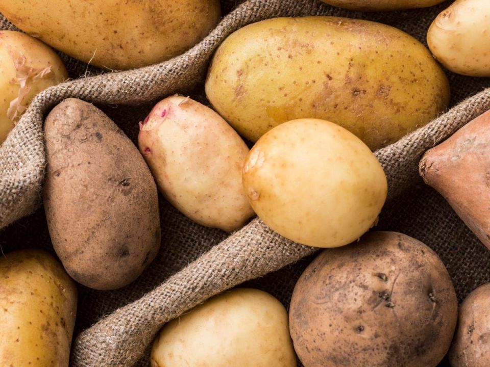 ��� �������� ���������� ������ ���������: ����� ����������