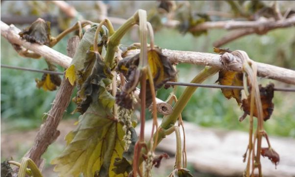 ��� �������� ������ ��� �������� ��������� ������: ������ � ������������