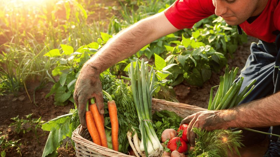 ��� �������� ������� ���� ������: �������� ������ ��� ��������