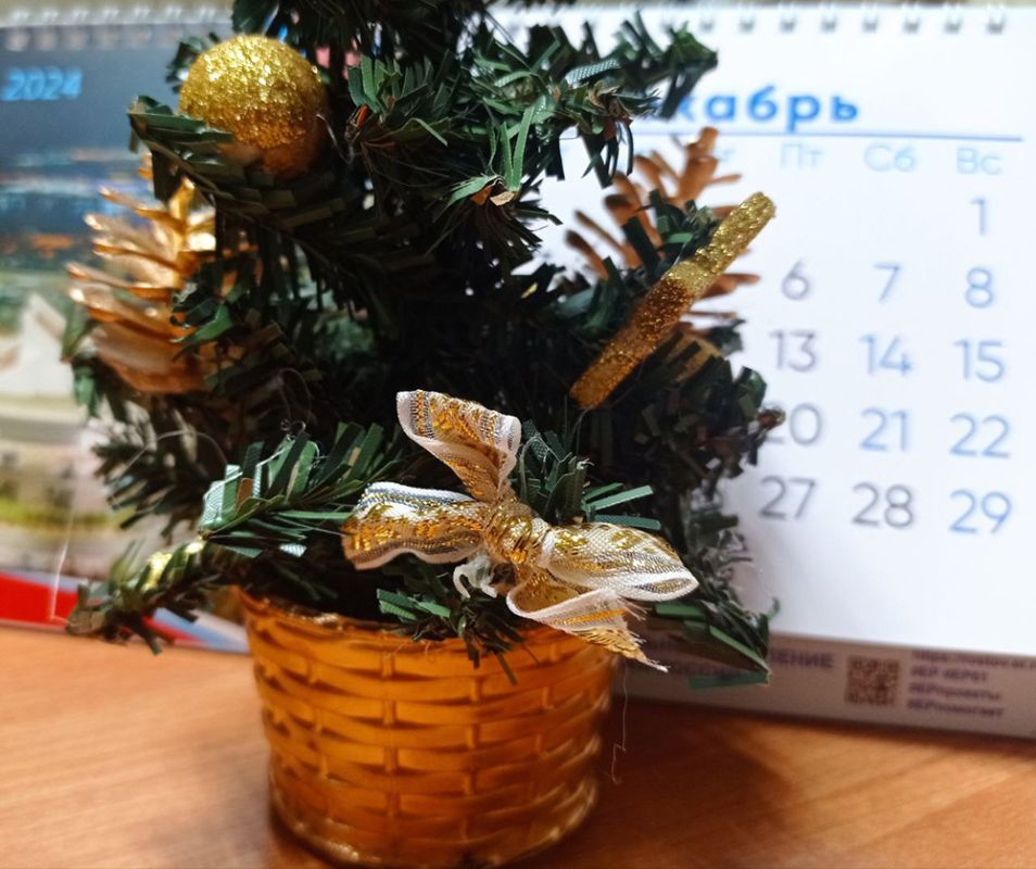 Донские семьи встретят праздники с финансовой поддержкой