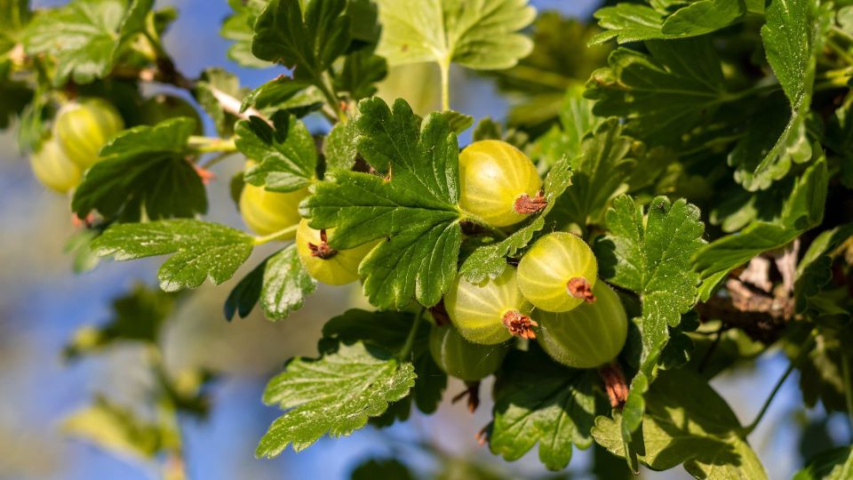 ������� ����� ��� ��������� ���: ��������� ����� ����� ����� �������� �� ����