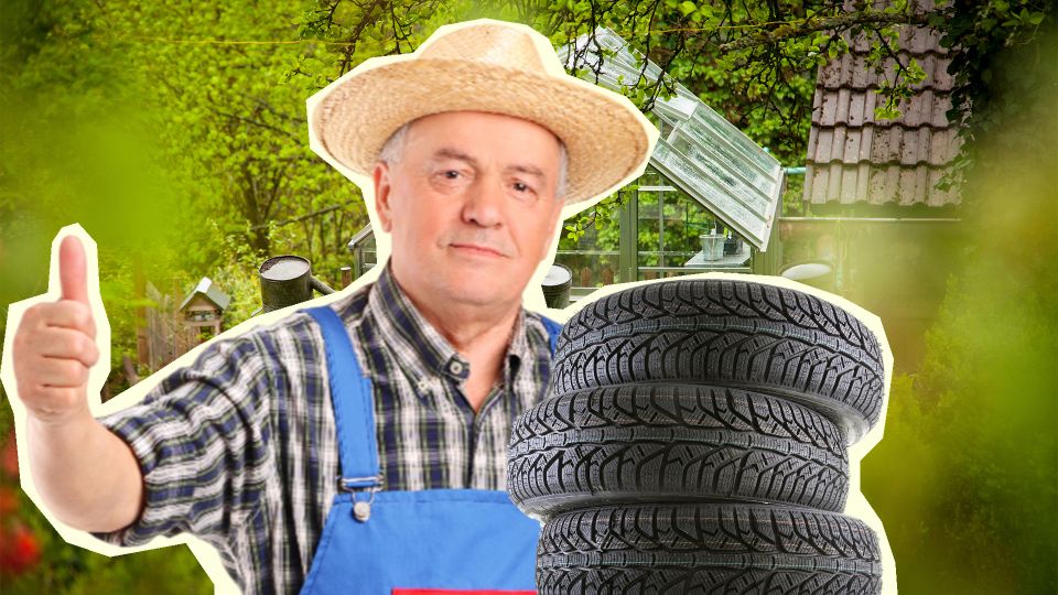 ��� ����� ������� ����� � ��� ������ ����: ���������� ����� �� ��� ����� ��� ������