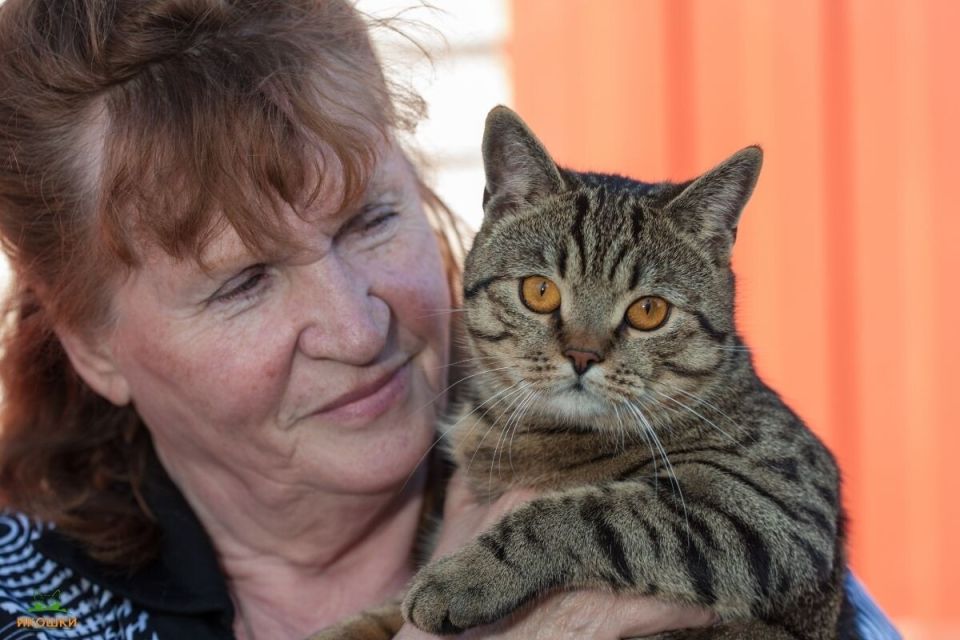 ��� ��������� ������ �����: ����� � ������� � ���� �������� ��������