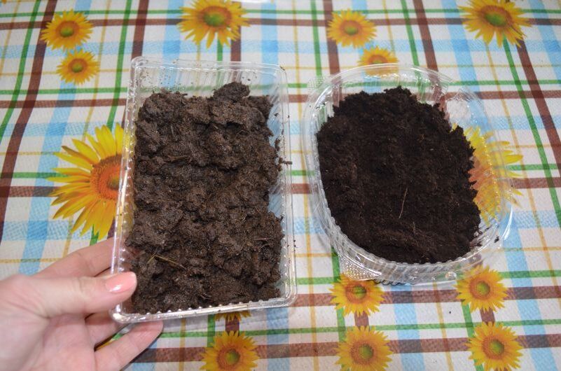 ��� ������� ��������� ����� ��� ������� �������