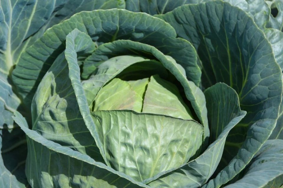 �������� �������: ������ �������� � �������� ����������