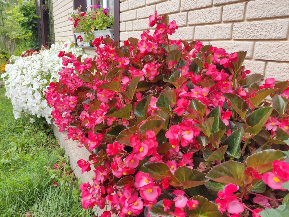 ����� �������������: ��� ���������� �������� � ������������ ���� ������?