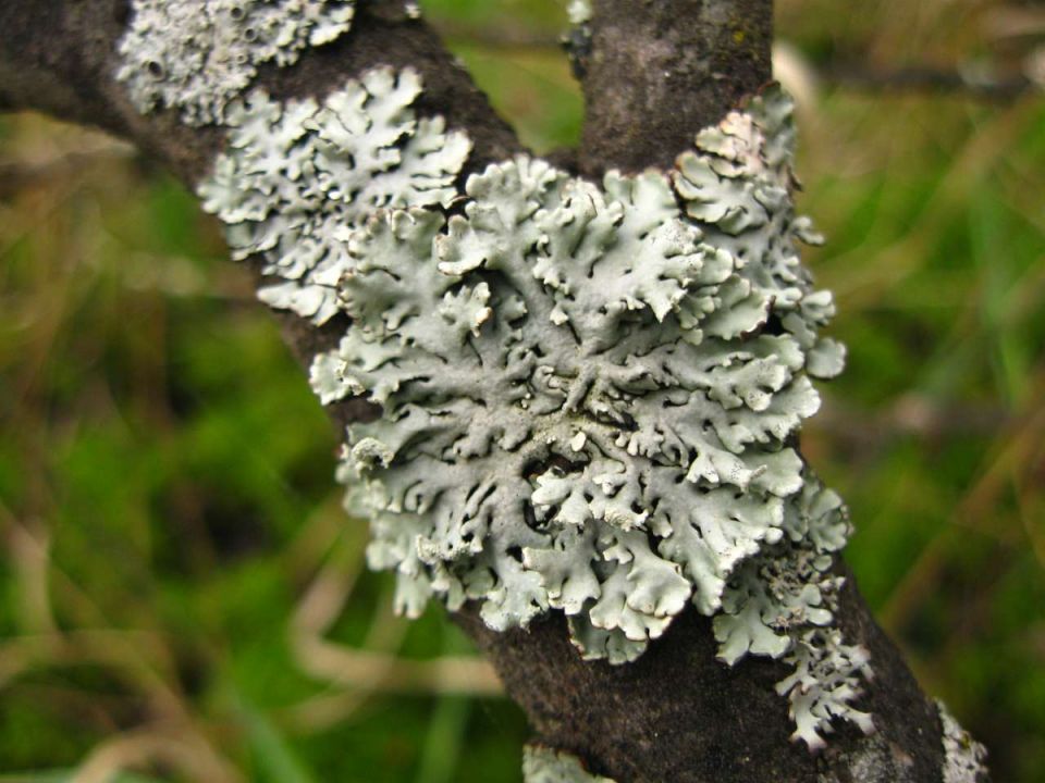 ��� ���������� ���������� � ����� ���������� �� �������: ������� ����� �� �����