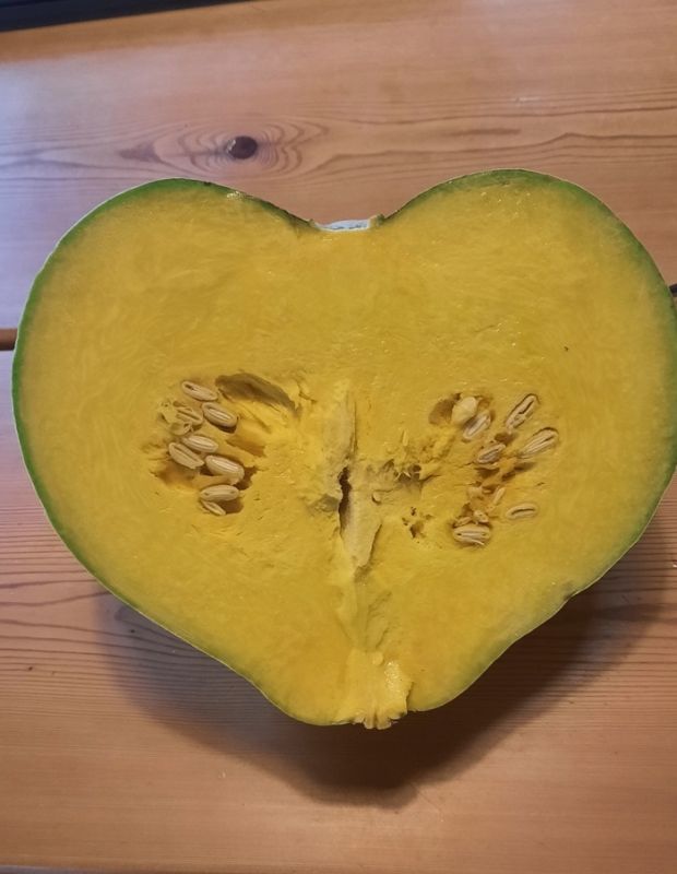 ��������� ����� � ��������� ������: ��� �����������