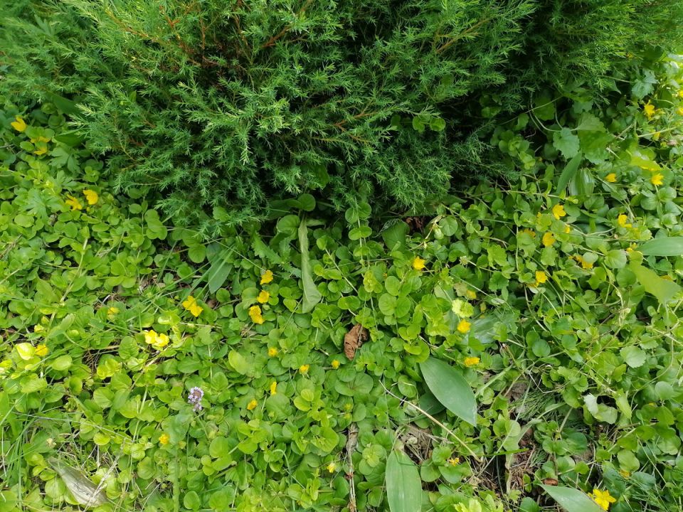 ��� ����������� ����� � ����: ������ ������ �� �����