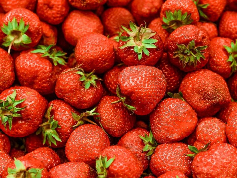 Как январь влияет на клубнику: спокойный уход за будущим урожаем