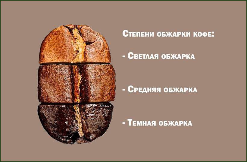 Свежесть обжарки определяет характер вкуса кофе и его нюансы