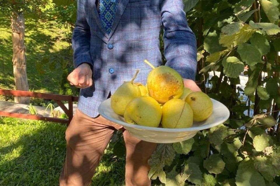 Ежедневное употребление груш меняет привычки организма и напоминает о простых связях между едой и самочувствием